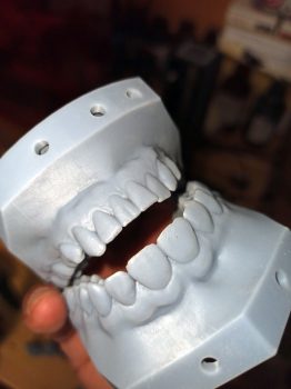 Ortho 6 scaled