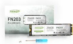 Fikwot M.2 SATA SSD 256Go
