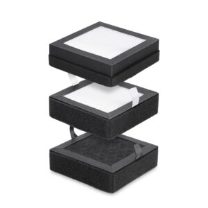 Filtre de rechange Filtration Mintion V1