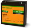 ECO-WORTHY 12V 30Ah LiFePO4
