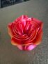 Test du filament PLA Silk Dual-Color de chez Eryone